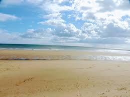 Image result for Wansbeck Gc