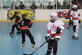 Image result for Adur Skater Hockey Club