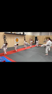 Image result for Abbey Fit Karate Club & Seiki Juku