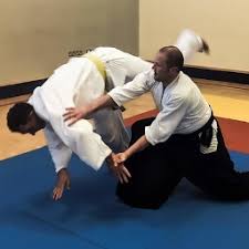 Image result for Basingstoke Aikido Club
