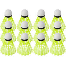 Image result for New Eagles Badminton Club