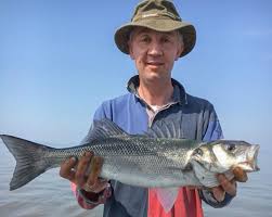 Image result for Blackpool Boat Angling Club