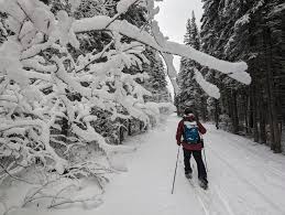 Image result for White Cross Ski Club