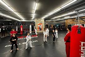 Image result for Professional  Martial Arts Academy