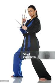 Image result for Sai Martial Arts