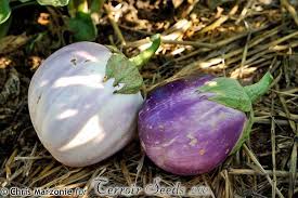 Afbeeldingsresultaat voor bianca a uovo eggplant