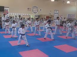 Image result for Absolute tae kwon do association