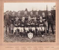 Image result for Woking Phoenix Football Club