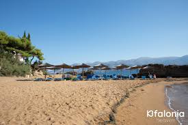 Attēlu rezultāti vaicājumam “Leporida”