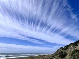 Attēlu rezultāti vaicājumam “Cirrus fibratus”