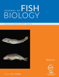 Image result for Salmo pallaryi