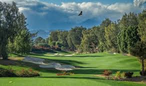 Image result for Irvine Flyers Club