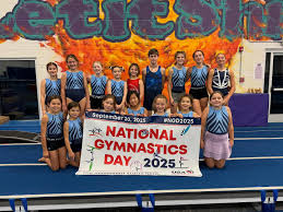 Image result for Team Lightning Trampoline Club