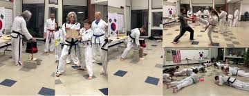 Image result for South Bank Taekwondo