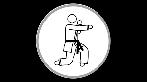 Image result for Absolute tae kwon do association