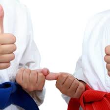 Image result for Dujon Tae Kwon Do