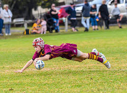 Image result for Huddersfield Junior Sharks Arlfc