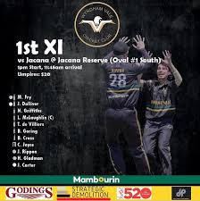 Image result for Wandham Cricket Club