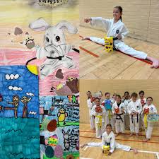 Image result for Torbay Taekwondo Schools
