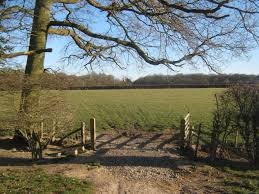 Image result for Harbourne Cc