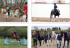 Image result for Winchester Riding Club