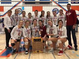 Image result for Cheltenham Cobras Volleyball Club