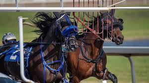 Image result for The Horse Racing Club