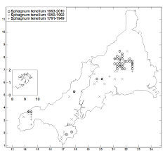 Attēlu rezultāti vaicājumam “Sphagnum tenellum”
