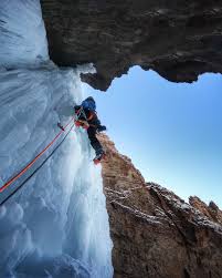 Attēlu rezultāti vaicājumam “Trichia alpina young”