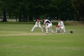 Image result for Ipswich Cricket Club