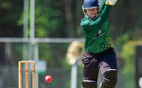 Image result for West Chiltington & Thakeham Cc