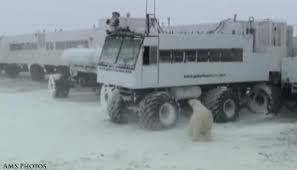 Image result for tundra buggy