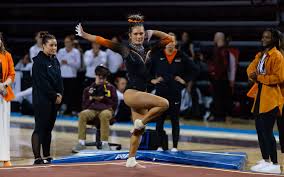 Image result for Thornton Sport Gymnastics