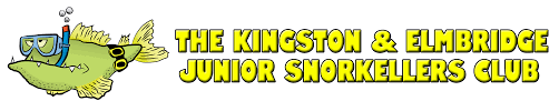 Image result for Kingston and Elmbridge Snorkellers