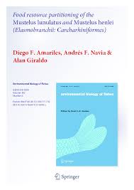 Image result for Mustelus palumbes