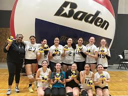 Image result for Southend handball club