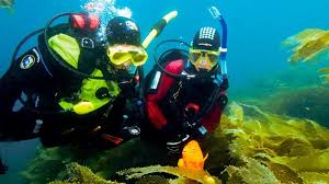 Image result for Maidstone Sub Aqua Club