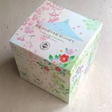 「望月麻里（マリ）」の画像検索結果