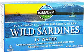 Image result for Wild Water Planet