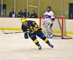 Image result for Demons Skater Hockey Club