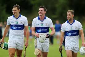 Image result for Rostrevor Hurling Club