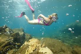 Image result for Ruislip Snorkelling Club