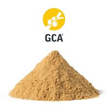 Image result for GCA