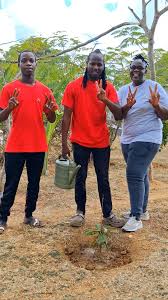 Image result for Alpha Judo Club