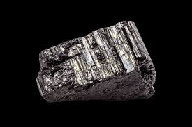 Attēlu rezultāti vaicājumam “Didymium proximum”