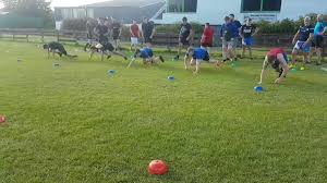 Image result for Easterhouse Rugby League Football Club