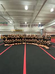 Image result for Phoenix Stars Cheerleaders