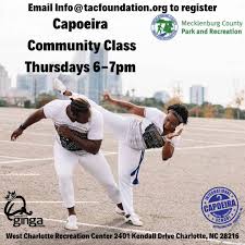 Image result for Capoeira Classes