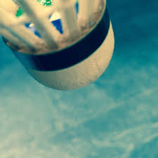 Image result for Wellington (Crowthorne) Badminton Club