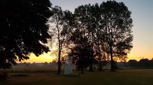 Image result for Great Chart Cricket Club